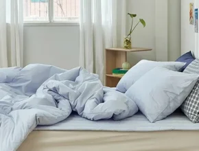 인스타에서 추천받은 알레르망차렵이불 BEST8 추천 제품 후기