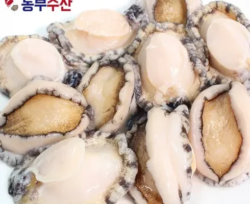 가격 대비 가장 좋은 완도 손질 냉동전복 인기 아이템 추천 8가지 (실사용 후기)