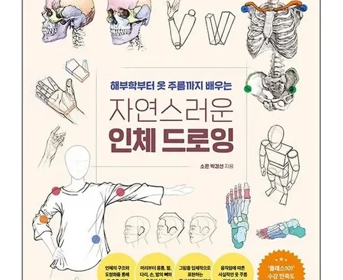 인스타에서 추천받은 자연스러운인체드로잉 추천 아이템 Top 8 순위표