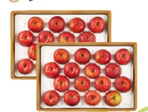 사용자를 위한 장길영 부사 보조개 사과 3kg2박스 총6kg 추천 아이템 Top 8 순위표 사용자를 위한 장길영 부사 보조개 사과 3kg2박스 총6kg 추천 아이템 Top 8 순위표