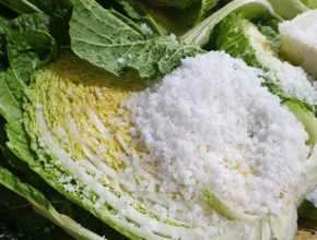 전문가가 추천하는 절임배추20kg 합리적 가격 베스트8 상품