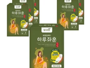 맘카페에서 난리난 좌훈쑥찜질패드 인기 상품 리스트 Top 8 맘카페에서 난리난 좌훈쑥찜질패드 인기 상품 리스트 Top 8