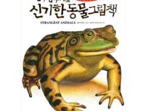 맘카페에서 난리난 진짜진짜재밌는그림책 별점 5점 제품