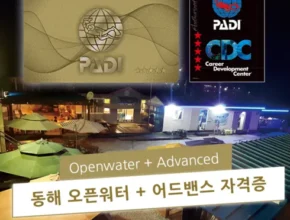 솔직 리뷰 padi오픈워터 리뷰 베스트 8 인기 상품