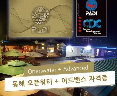 솔직 리뷰 padi오픈워터 리뷰 베스트 8 인기 상품