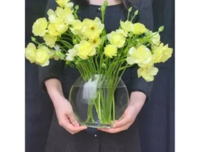 가격 대비 가장 좋은 꽃도매 추천 상품 Top 8 순위 가격 대비 가장 좋은 꽃도매 추천 상품 Top 8 순위