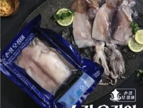 전문가가 검증한 냉동오징어 별점 5점 제품 전문가가 검증한 냉동오징어 별점 5점 제품