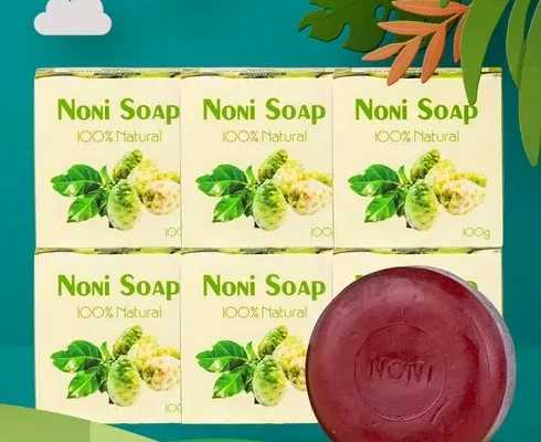 맘카페에서 난리난 노니비누 별점 5점 제품