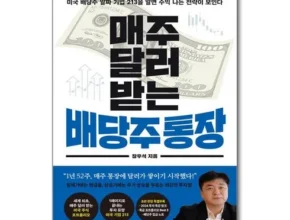 2024년 업데이트 매주달러받는배당주통장 인기 아이템 추천 8가지 (실사용 후기)