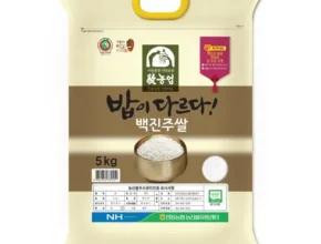 솔직 리뷰 백진주쌀 랭킹 TOP8 제품 리뷰 및 사용 후기