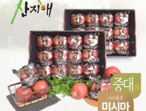 전문가가 검증한 산지애 블랙라벨 더초이스 사과 9kg 청송사과 미시마 BEST8 추천 제품 후기 전문가가 검증한 산지애 블랙라벨 더초이스 사과 9kg 청송사과 미시마 BEST8 추천 제품 후기