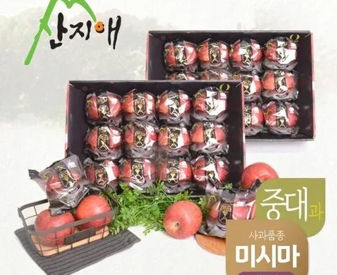 전문가가 검증한 산지애 블랙라벨 더초이스 사과 9kg   청송사과 미시마 BEST8 추천 제품 후기
