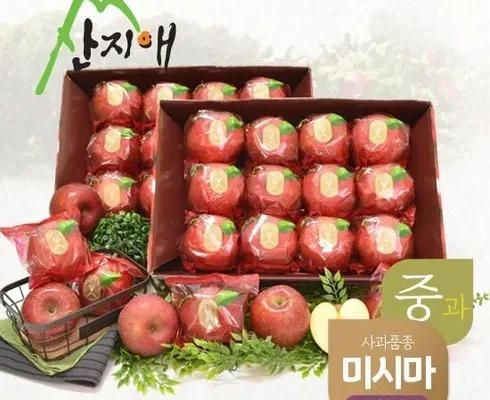 올해 최고 산지애 사과 5.4kg  인기 상품 리스트 Top 8