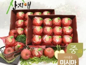 2024년 업데이트 산지애 사과 5.4kg 인기 아이템 추천 8가지 (실사용 후기)