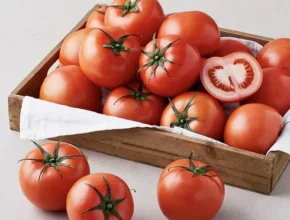 전문가가 추천하는 스마트팜 토마토 5kg 인기 상품 리스트 Top 8 전문가가 추천하는 스마트팜 토마토 5kg 인기 상품 리스트 Top 8