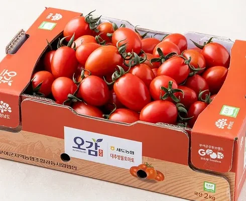 인기 폭발 스테비아 대추방울토마토 2kg 리뷰 베스트 8 인기 상품