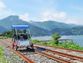방송에서 극찬한 여수아쿠아플라넷 합리적 가격 베스트8 상품