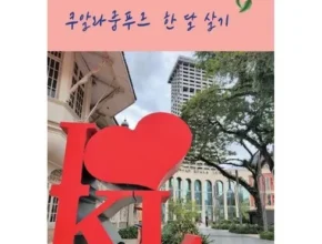최다 판매 인조이말레이시아 사용 후기
