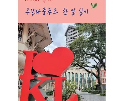 최다 판매 인조이말레이시아 사용 후기