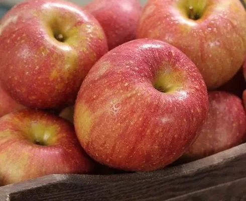 가격 대비 가장 좋은 자연향 부사보조개3kg2박스총6kg 리뷰 베스트 8 인기 상품