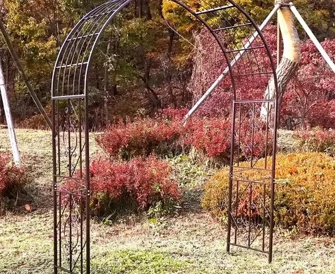맘카페에서 난리난 장미아치 사용 후기