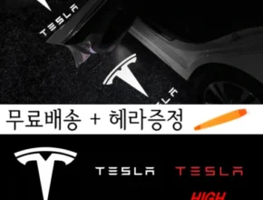 전문가가 추천하는 테슬라장기렌트 사용 후기