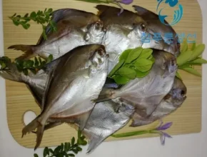 전문가가 검증한 국내산자연산반건조참돔400g6마리 랭킹 TOP8 제품 리뷰 및 사용 후기 전문가가 검증한 국내산자연산반건조참돔400g6마리 랭킹 TOP8 제품 리뷰 및 사용 후기