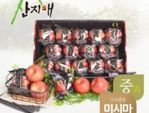 2024년 최고의 산지애 사과 9kg 추천 아이템 Top 8 순위표