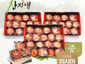 올해 최고 산지애 사과 9kg  합리적인 가격 추천 best8