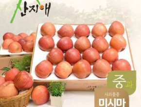 사용자를 위한 산지애 알뜰사과 6kg사과즙 6팩 합리적 가격 베스트8 상품 사용자를 위한 산지애 알뜰사과 6kg사과즙 6팩 합리적 가격 베스트8 상품