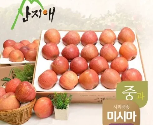 사용자를 위한 산지애 알뜰사과 6kg사과즙 6팩  합리적 가격 베스트8 상품