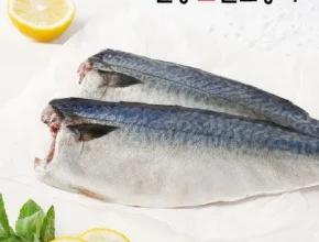 솔직 리뷰 순살 안동간고등어 170g 16팩 별점 5점 제품 솔직 리뷰 순살 안동간고등어 170g 16팩 별점 5점 제품