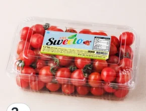 맘카페에서 난리난 스테비아 대추방울토마토 2kg 별점 5점 제품 맘카페에서 난리난 스테비아 대추방울토마토 2kg 별점 5점 제품