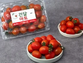 가격 대비 가장 좋은 스테비아 방울토마토 2kg 별점 5점 제품 가격 대비 가장 좋은 스테비아 방울토마토 2kg 별점 5점 제품