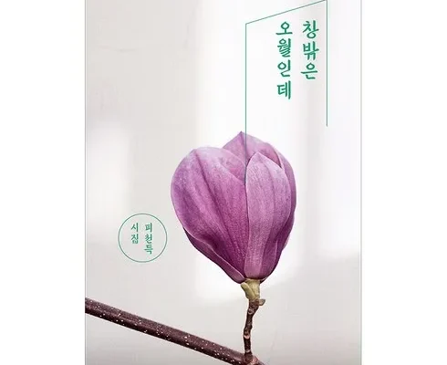 전문가가 검증한 피천득인연 인기 상품 리스트 Top 8